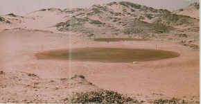 Golf-Sharjah.jpg (65024 bytes)