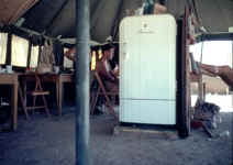 the fridge.jpg (48491 bytes)